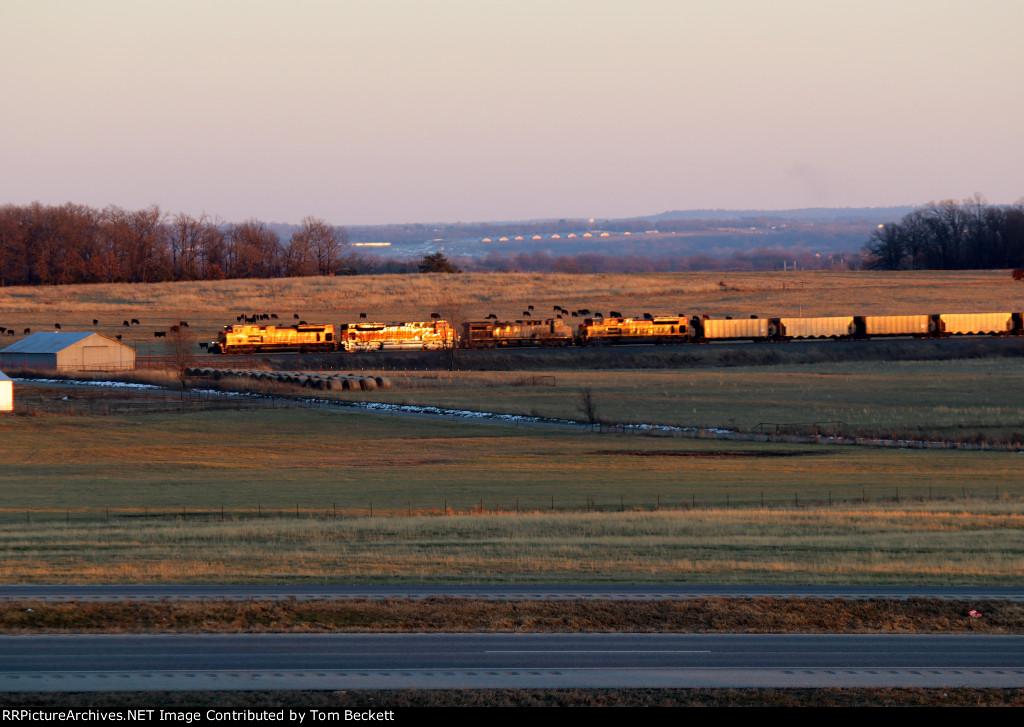 Pastoral panorama